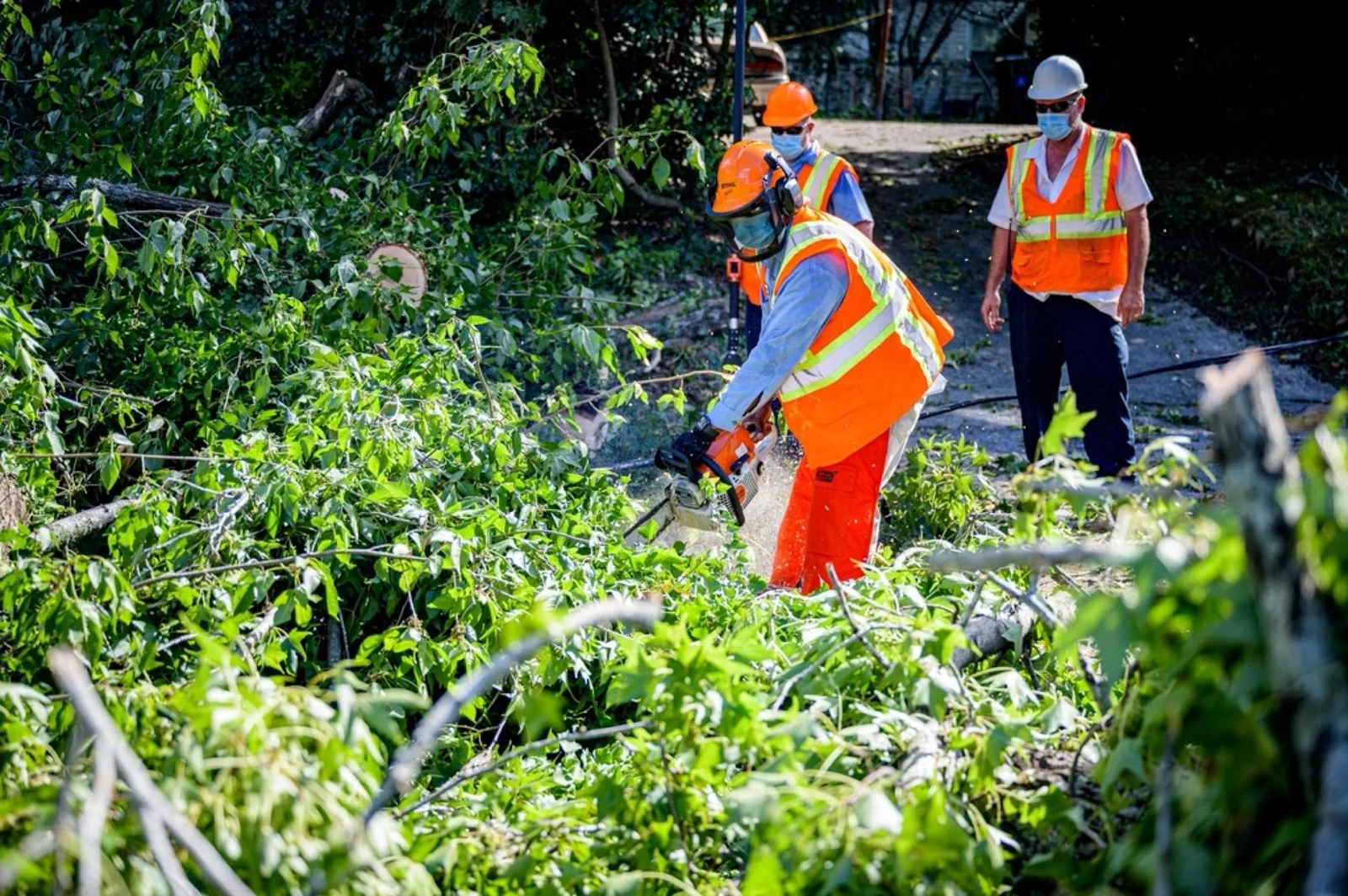 Willowstone team carrying out tree removal beside a home